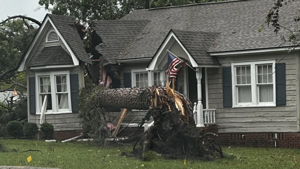 Hurricane Idalia: Tree falls through the roof of home in Waycross
