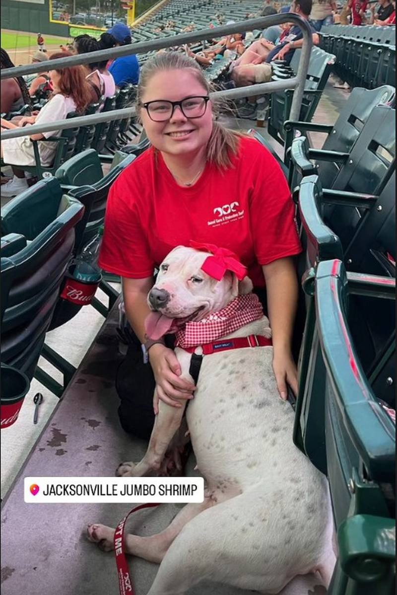 The Jumbo Shrimp invited 10 pups, staff and volunteers to take in a ballgame on Wednesday night.