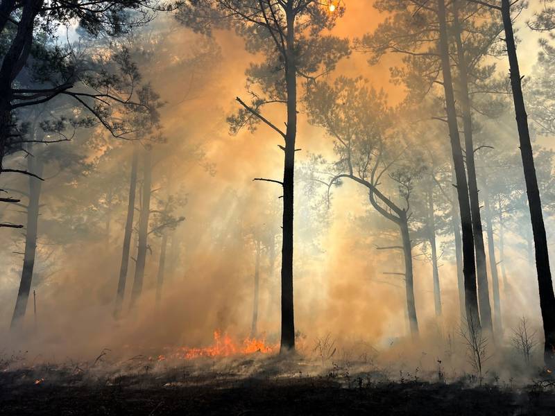 Prescribed fire helps reduce the possibility of dangerous wildfire while enhancing land’s environmental quality.