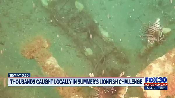 Florida Fish and Wildlife proposes lionfish challenge to keep invasive species in check