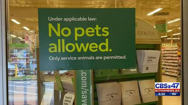 Publix reminding customers that dogs aren’t allowed with new signs in stores