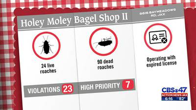 Restaurant Report: Holey Moley! Inspectors find dozens of live and dead roaches at bagel shop