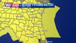 Grab your umbrella: Severe thunderstorm watch in effect
