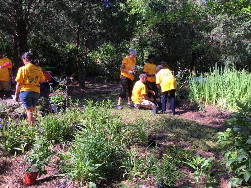 The park beautification projects include trail maintenance, invasive plant removal, pollinator garden maintenance, and litter pickup at city preserves.