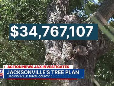 INVESTIGATES: Jacksonville’s Tree Fund making changes to take $34M to put more trees in the ground