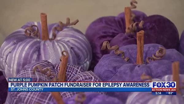 ‘That’s what made the difference:’ St Johns County teen hoping to reach Epilepsy fundraiser goal.
