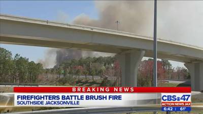 65-acre brush fire on Jacksonville's southside 100% contained