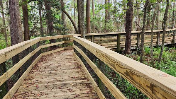 New boardwalk at Cuba Hunter Park gives onlookers a close look at local wildlife
