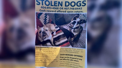 Both dogs reunited with Atlanta owners after being stolen by gunmen who shot at dog-walker