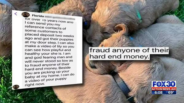 Investigates:  Local woman says dog breeder used Catfishing Zelle scam to reel in her money