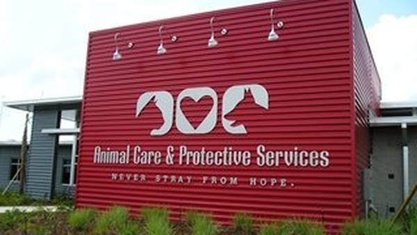 Jacksonville’s Animal Care and Protective Services is hiring
