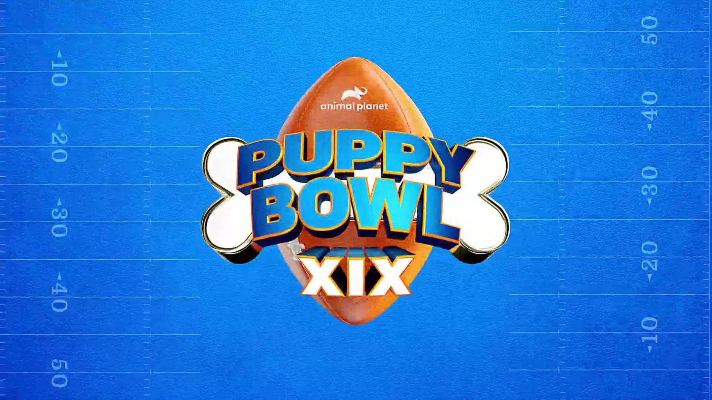 Puppy bowl Action News Jax