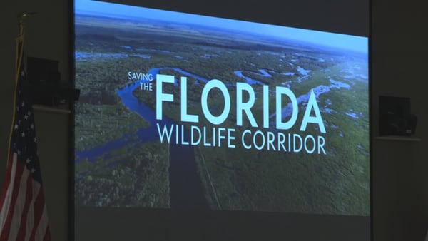 Landowners in some local Florida counties eligible for conservation easement program