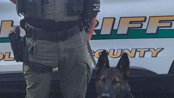 K-9 Chaos cleared to return to full duty