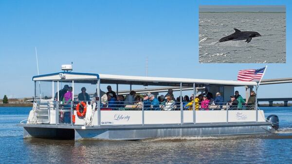 Jekyll Island Dolphin Tours recognized on Tripadvisor’s 2023 Travelers’ Choice Best of the Best