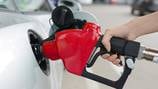 Florida gas prices fall to lowest level seen since January, AAA reports