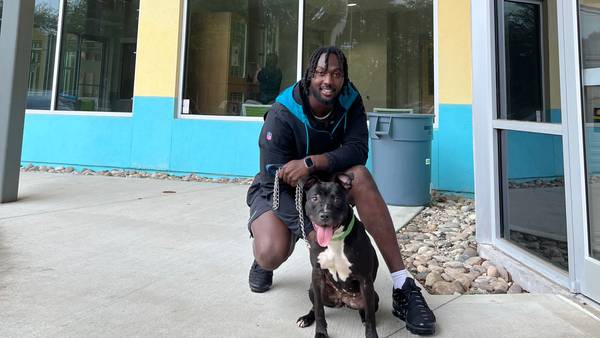 Jacksonville Jaguar Devin Lloyd adopts from Jax Humane Society!
