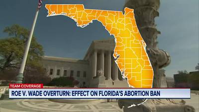 Florida court set to consider blocking 15-week abortion ban Monday