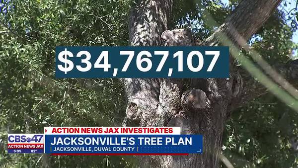 INVESTIGATES: Jacksonville’s Tree Fund making changes to take $34M to put more trees in the ground