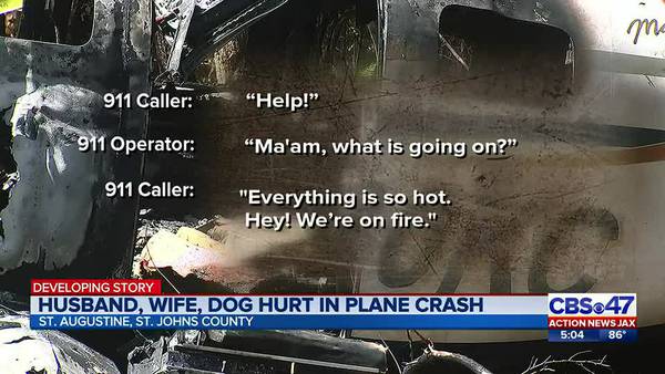 Husband, wife, dog hurt in plane crash