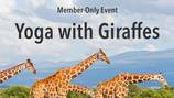 Yoga with Giraffes at Jacksonville Zoo and Gardens