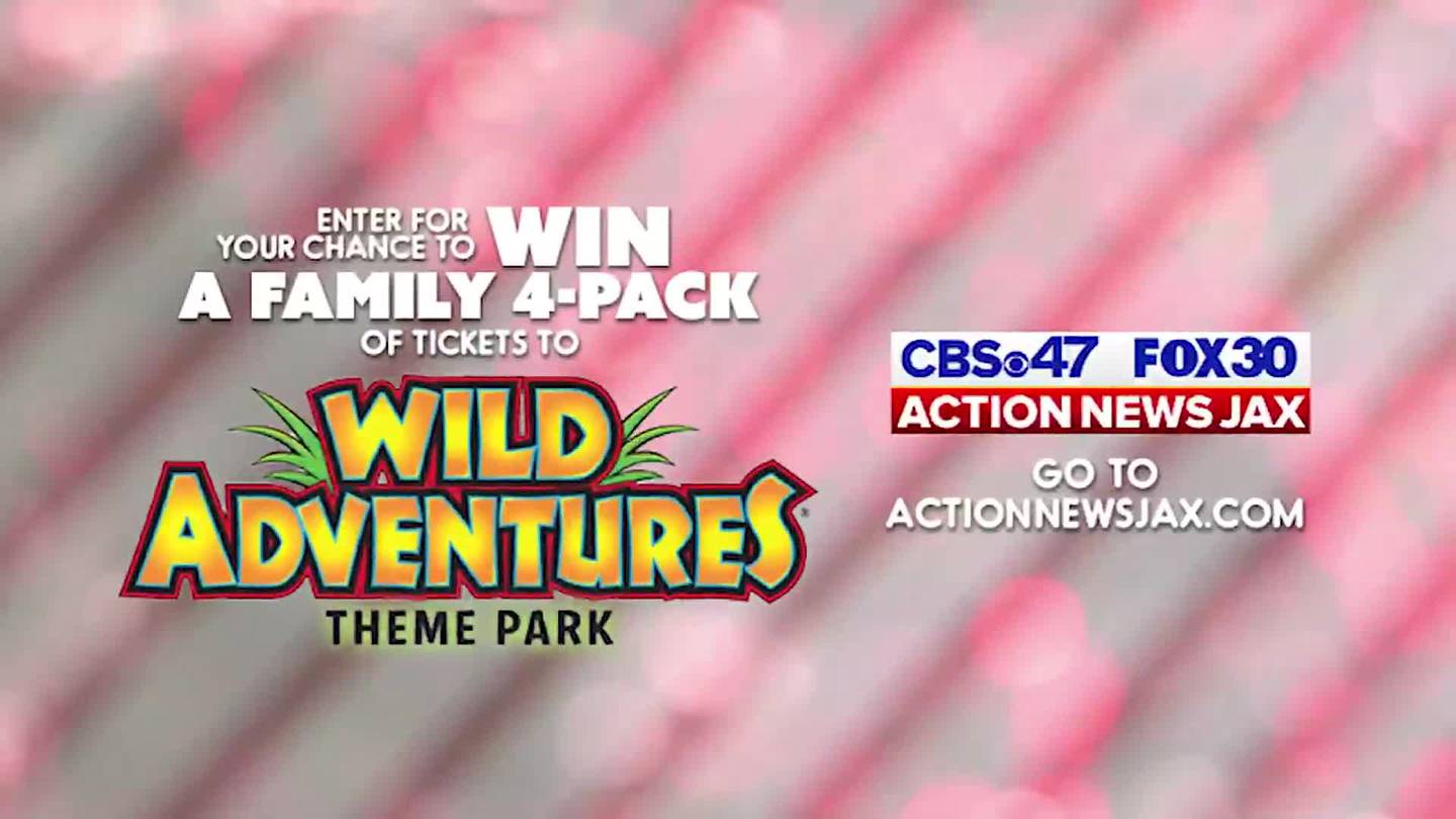 Contest Win a family 4pack of tickets to Wild Adventures Christmas