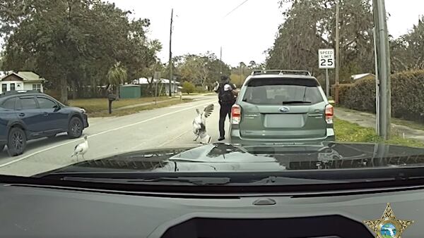 CAUGHT ON CAMERA: St. Johns County deputy ruffles feathers at traffic stop