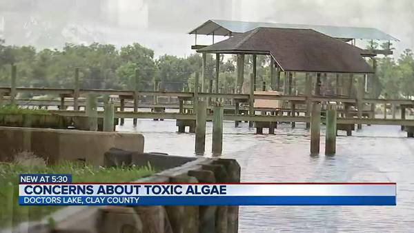 St. Johns Riverkeeper speaks on toxic algal blooms in Clay County lake