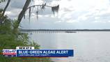 Blue-green algae warning issued for Doctors Lake in Clay County