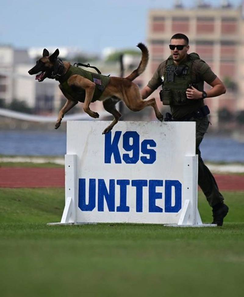Will K9 Cairo from Columbia County be this year's Top Dog?