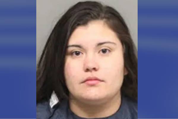Woman accused of attacking 2 guests over comments about untidy house, police say