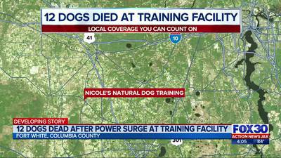 12 dogs dead after power surge at Fort White training facility