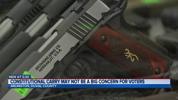Will ‘constitutional carry’ really be a top issue for Florida voters?