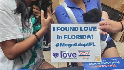 Photos: MEGA pet adoption event at Jacksonville Fairgrounds 