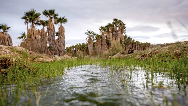 Arizona tribe fights to stop lithium drilling on culturally significant lands