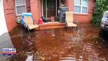 'You sink in several inches of water:' Fernandina Beach residents continue to deal with flooding