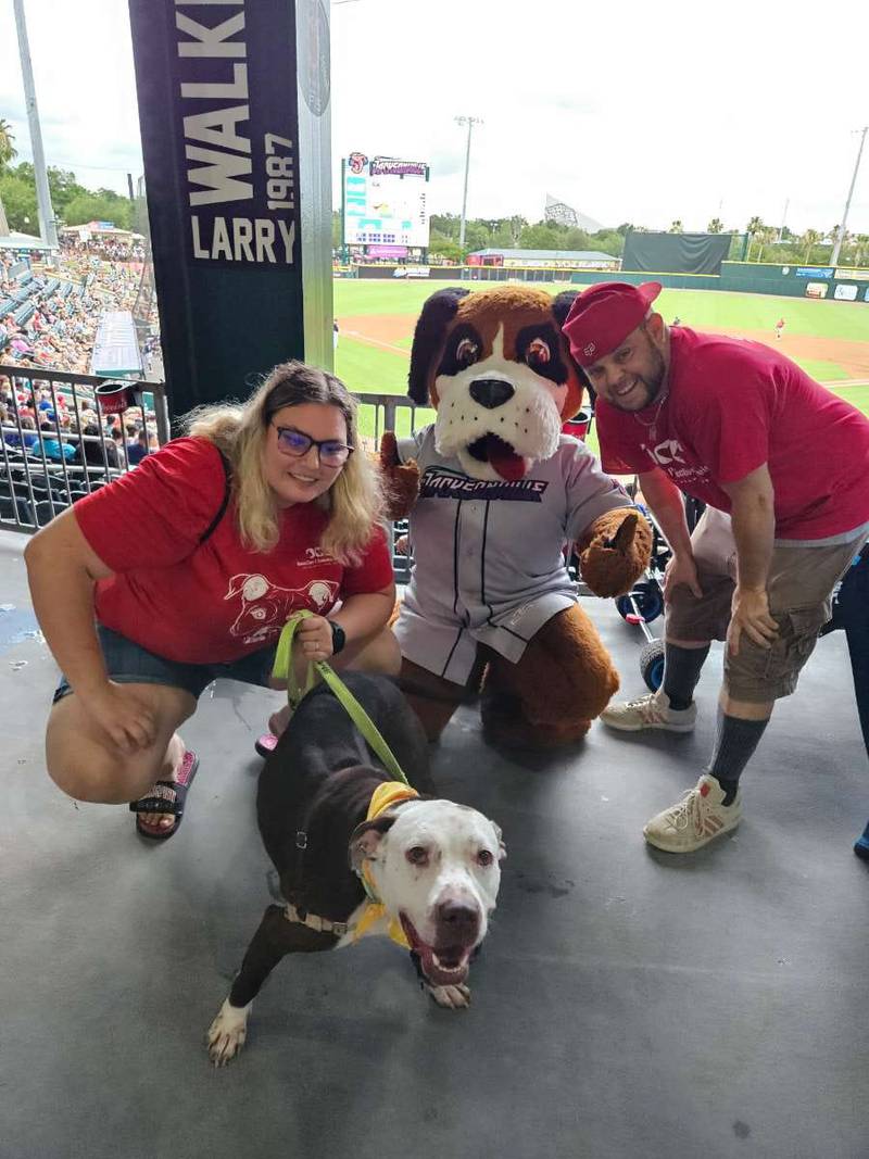 Southpaw meets and greets one of ACPS' adoptable pups.