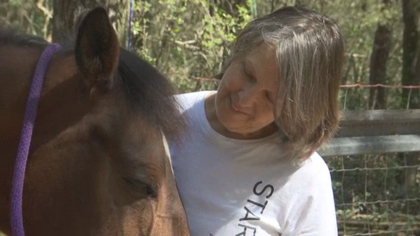 A Putman County woman says her horse was attacked and seriously wounded by dogs roaming free in her Interlachen neighborhood.