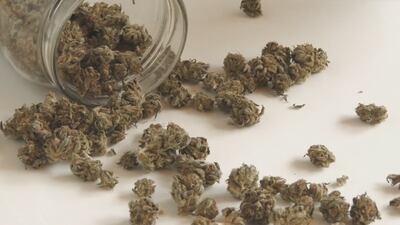 Recreational pot proposal on 2024 ballot with ‘more than enough’ petition signatures