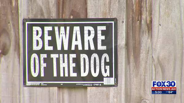 WATCH: Surveillance video shows pack of dogs terrorize southside neighborhood, kill several cats