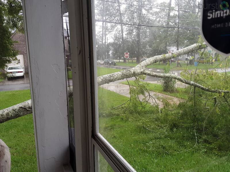 This viewer sent in a picture of a downed tree outside their home on College Street.