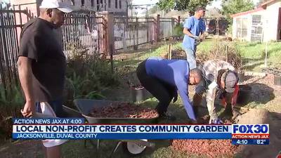 Fruit trees planted in Historic LaVilla neighborhood to feed veterans experiencing homelessness