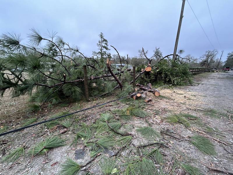 Pics from Peacock Ridge Drive in Western Duval County. Apparent tornado. Awaiting the EF rating from National Weather Service Jacksonville.