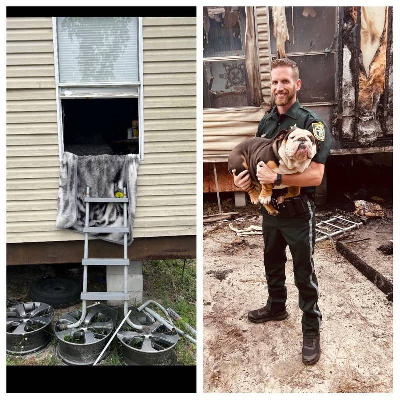 Two Union County Deputies saved a family dog from a double-wide fire.