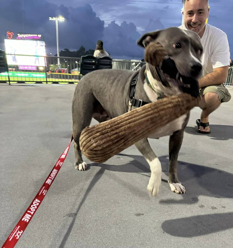 Baseball and a forever home make this dog one happy pup.