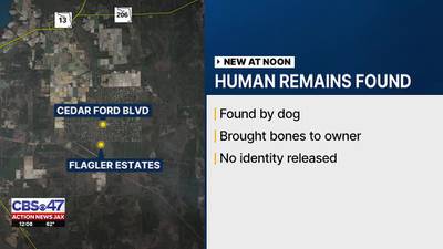 Dog finds skeletal remains in backyard, police investigating 