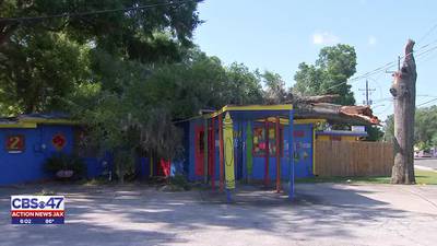Large tree destroys Arlington preschool