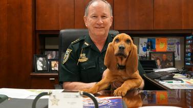 Nassau County Sheriff’s Office welcomes new bloodhound puppy
