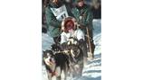 Cancer claims Iditarod champion Rick Mackey. His father and brother also won famed Alaska race