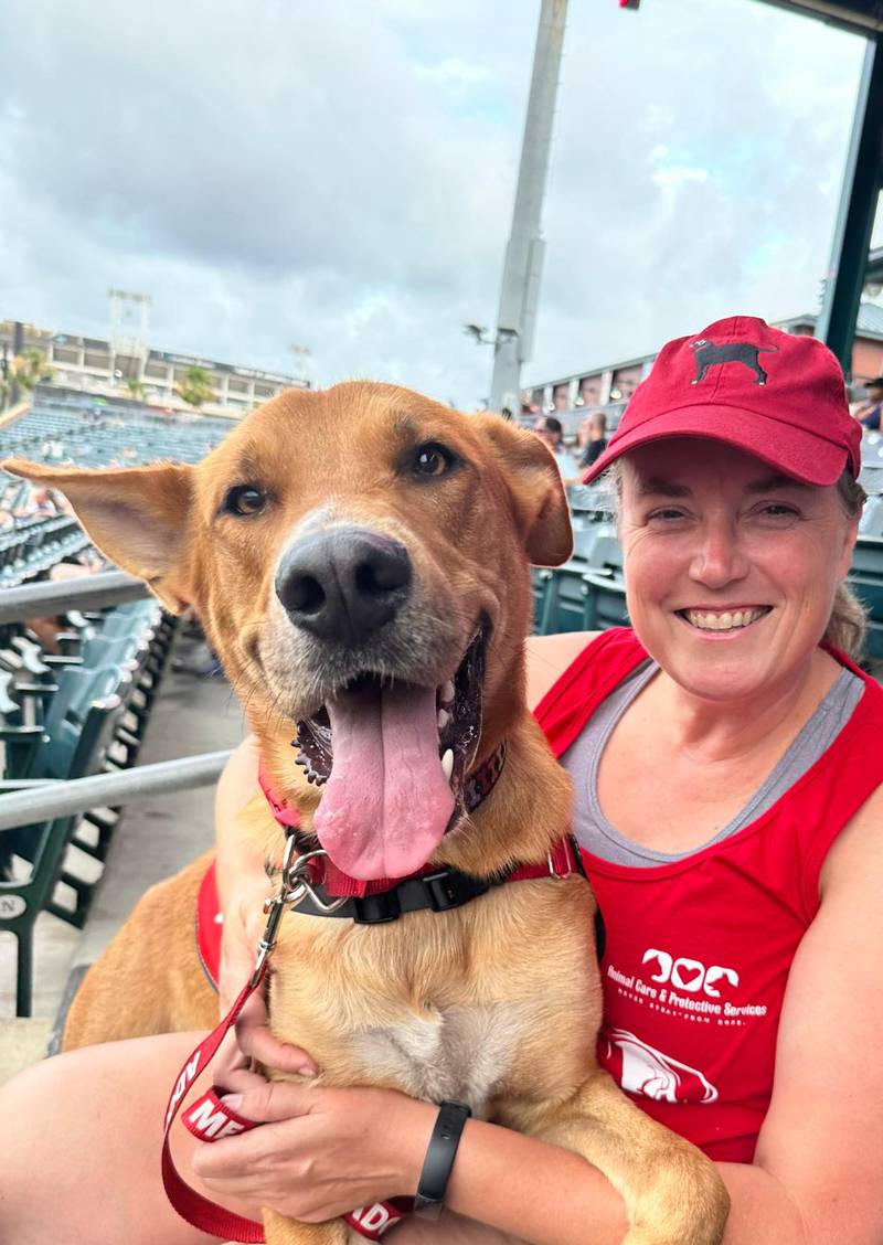 This happy pup who's looking for a forever home took in a Wednesday Shrimp ballgame.